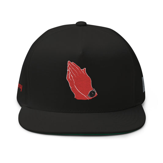 Air Pray Flat Bill Cap